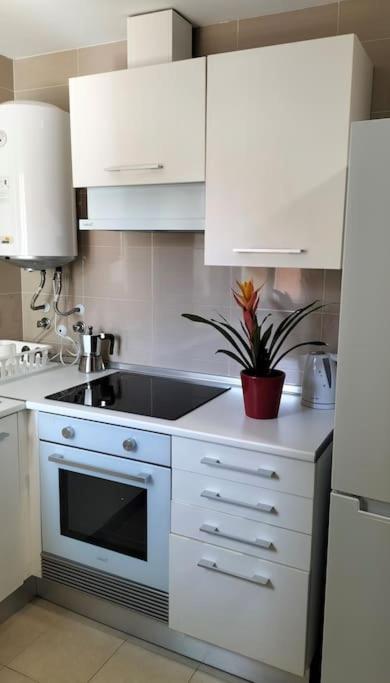 Estudio 52 Malaga Centrico Parking Gratuito Apartamento Exterior foto